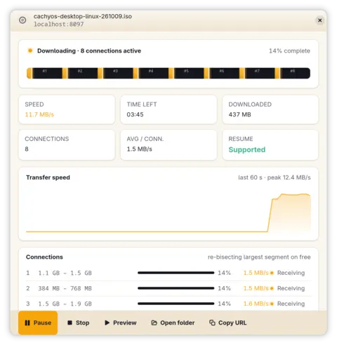 Download details showing per-segment progress